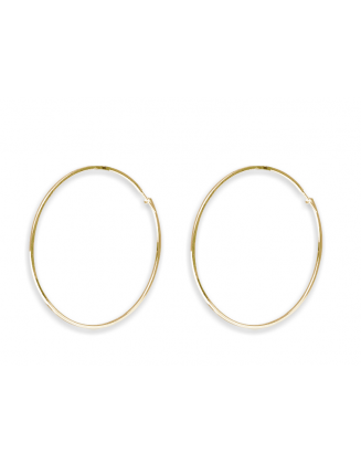 Brinco Argola Lisa 5cm Folheada a Ouro 18k